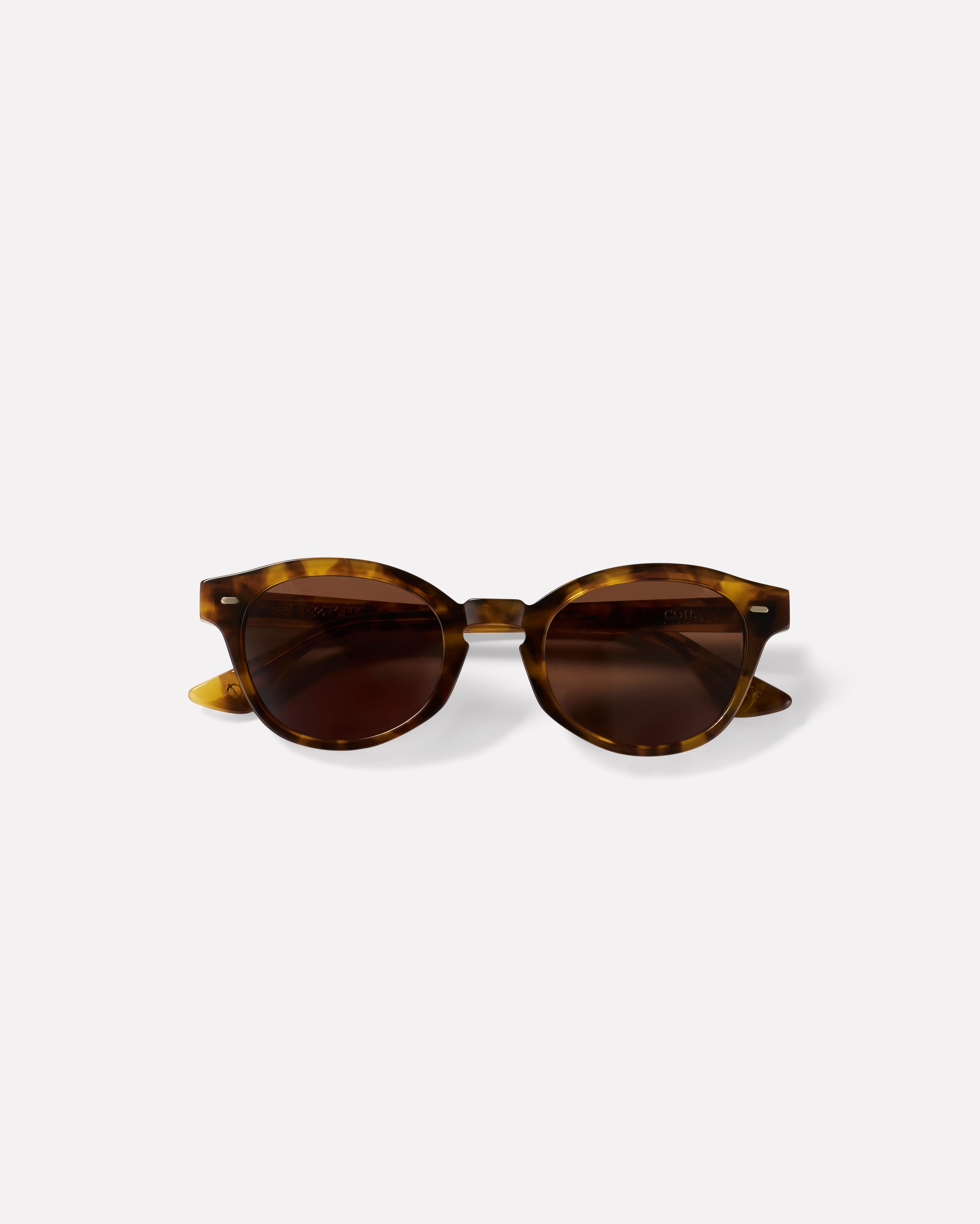 Coil - Light Tortoise Polished / Bronze