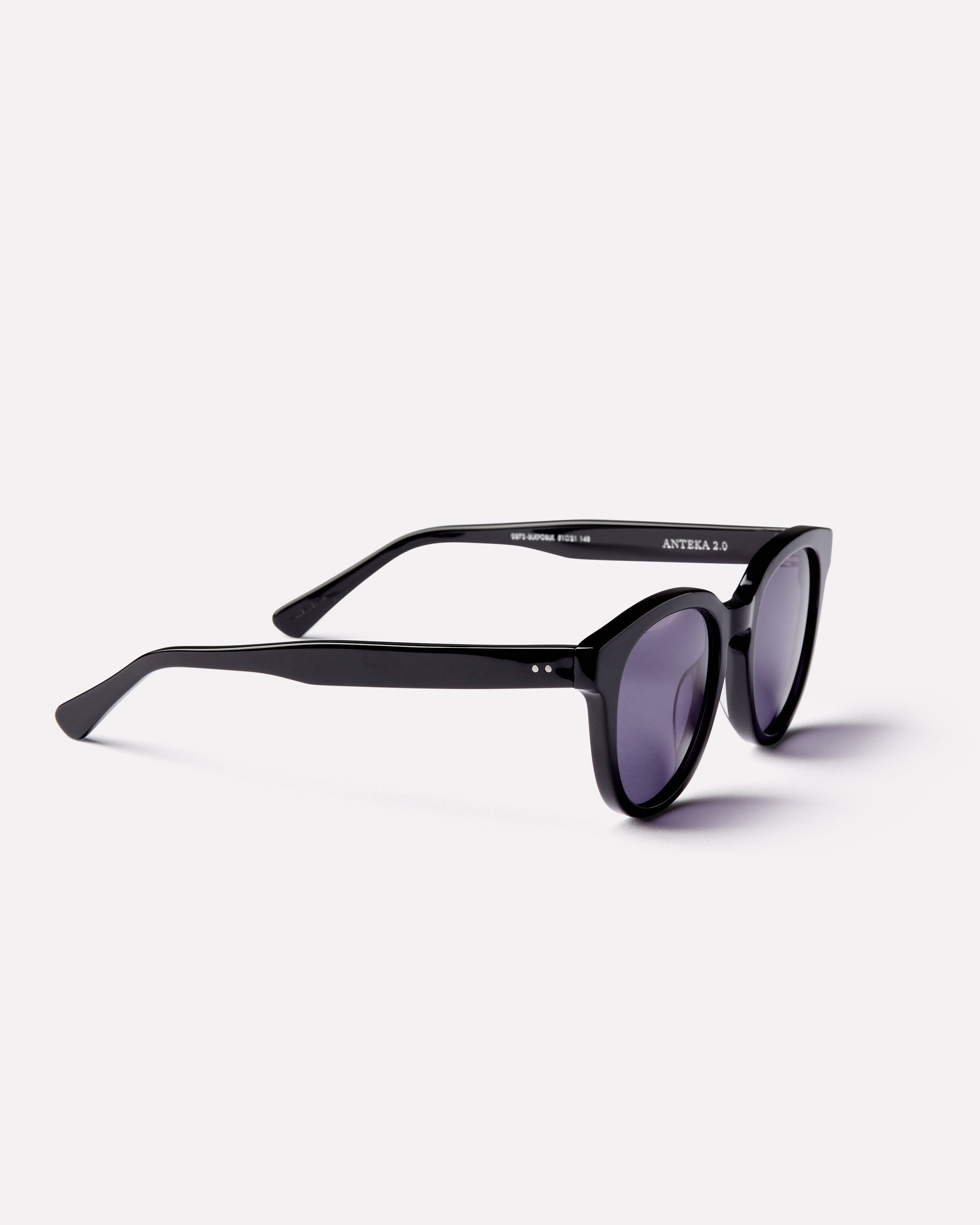 Anteka 2.0 -  Black Polished / Black - EPOKHE EYEWEAR Sunglasses #