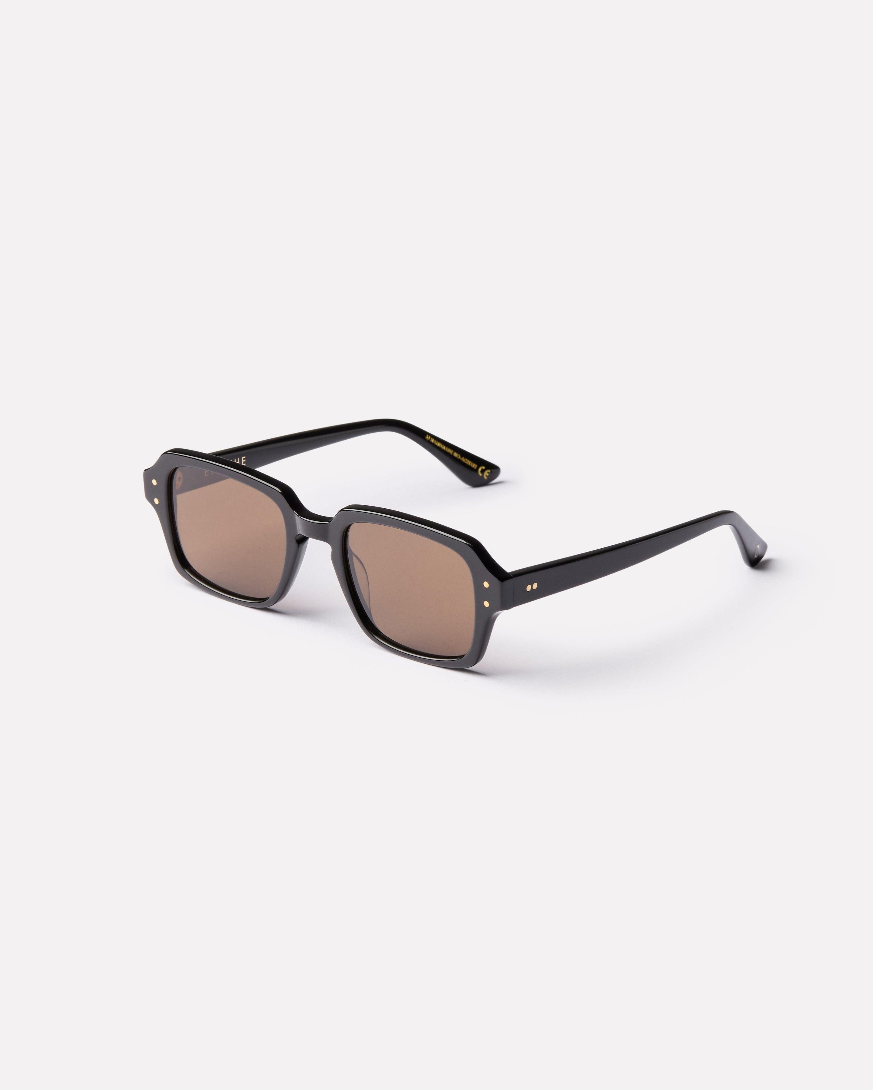 Wilson Sunglasses | Black Polished / Bronze Polarized | Epokhe