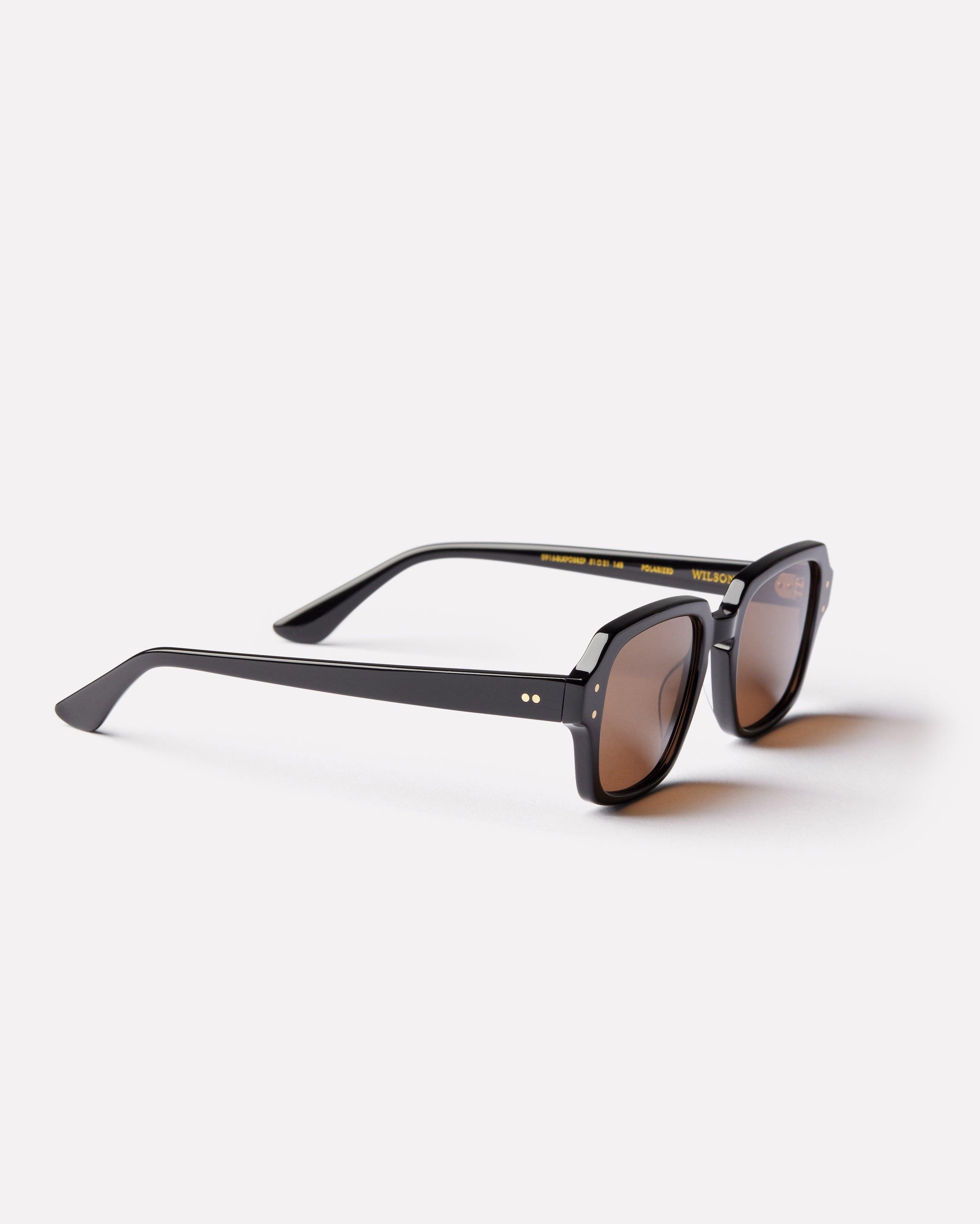 Wilson Sunglasses | Black Polished / Bronze Polarized | Epokhe
