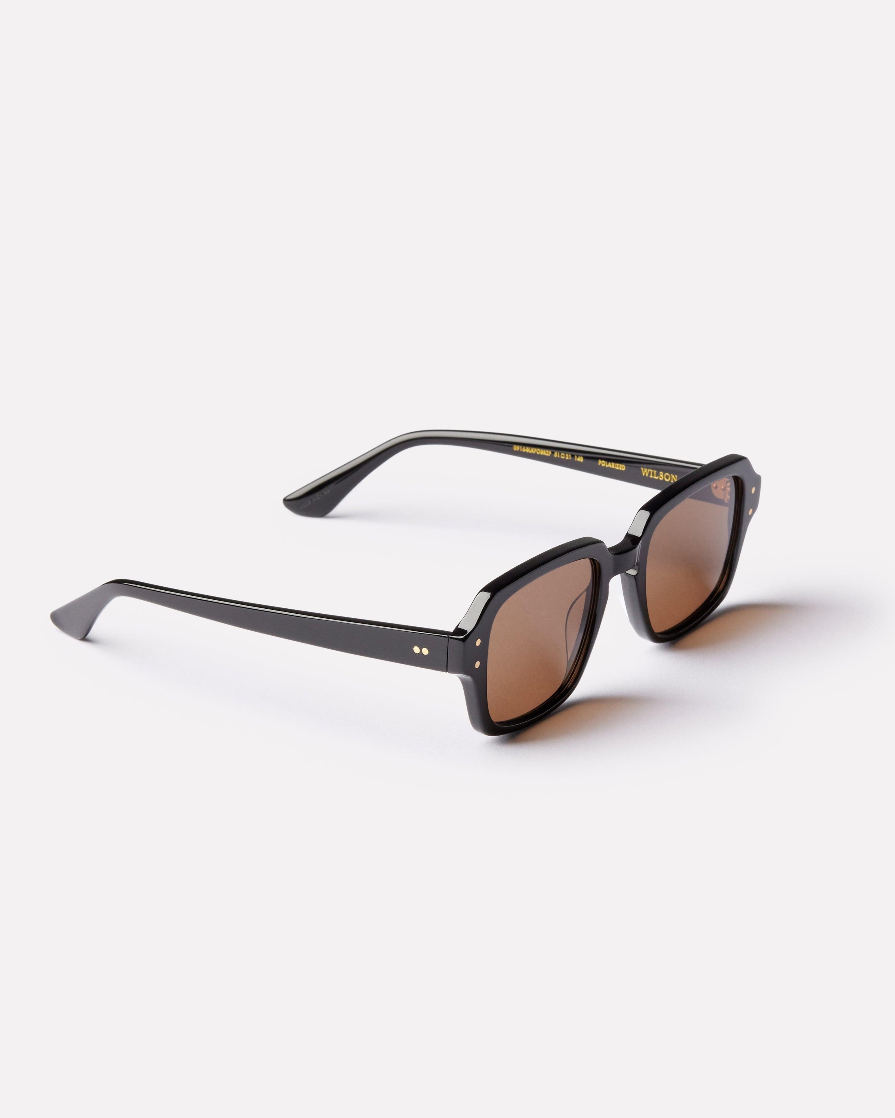 Wilson Sunglasses | Black Polished / Bronze Polarized | Epokhe