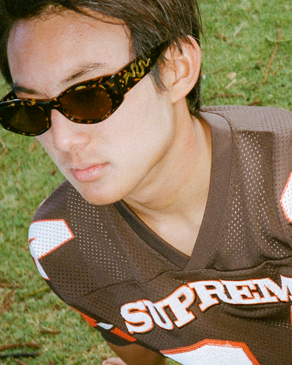Guilty - Crystal Dark Tortoise Polished / Brown Polarized